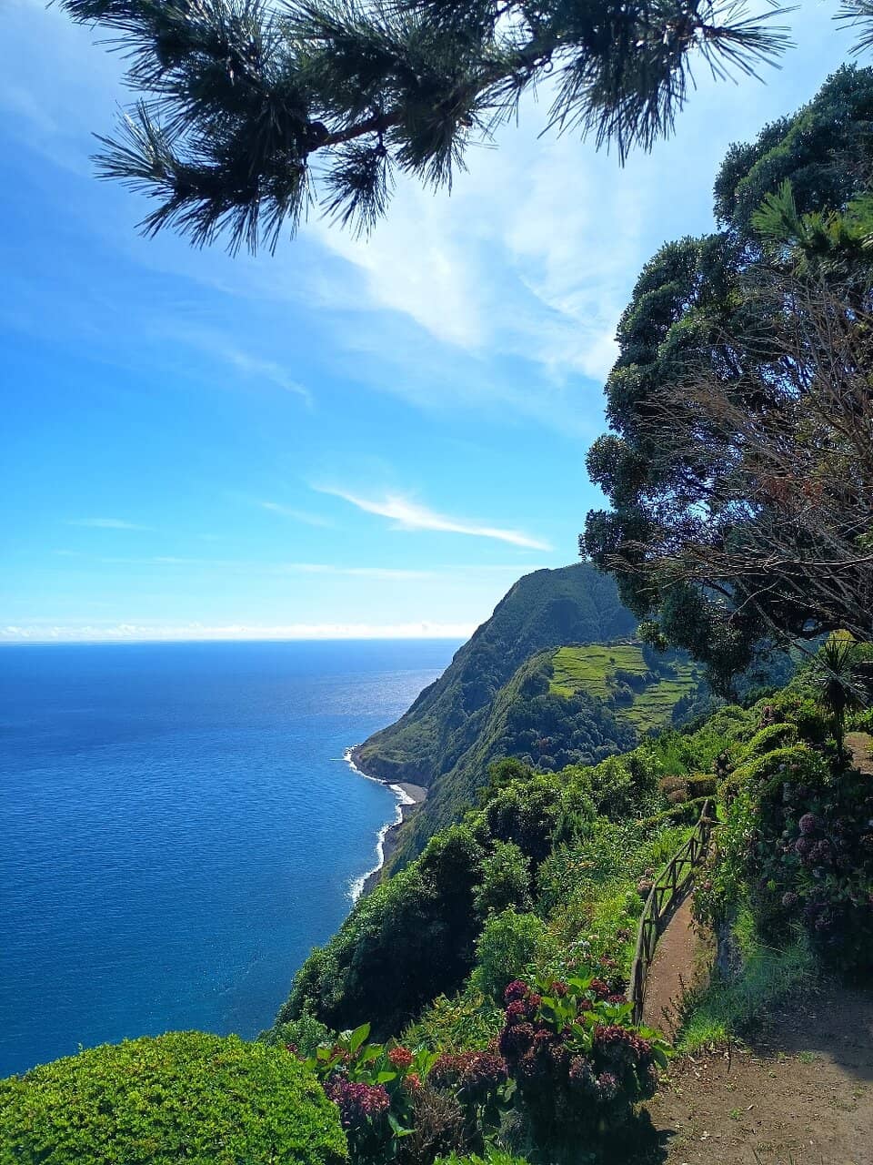 Vibrant Botanical Gardens