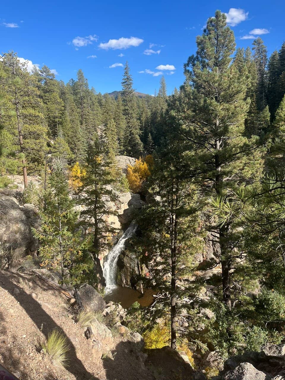 Vertical photo