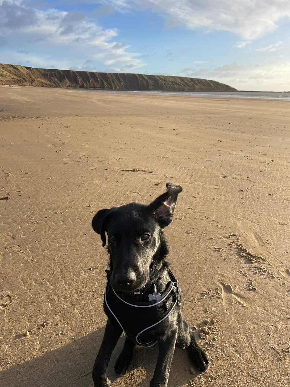Fascinating Rock Pools