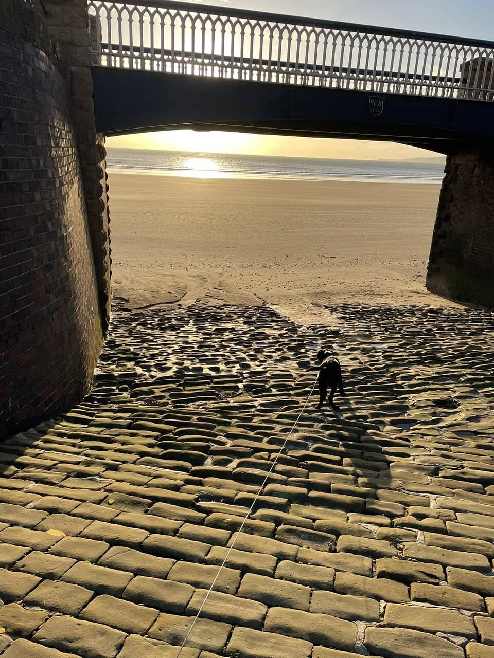 Vertical photo