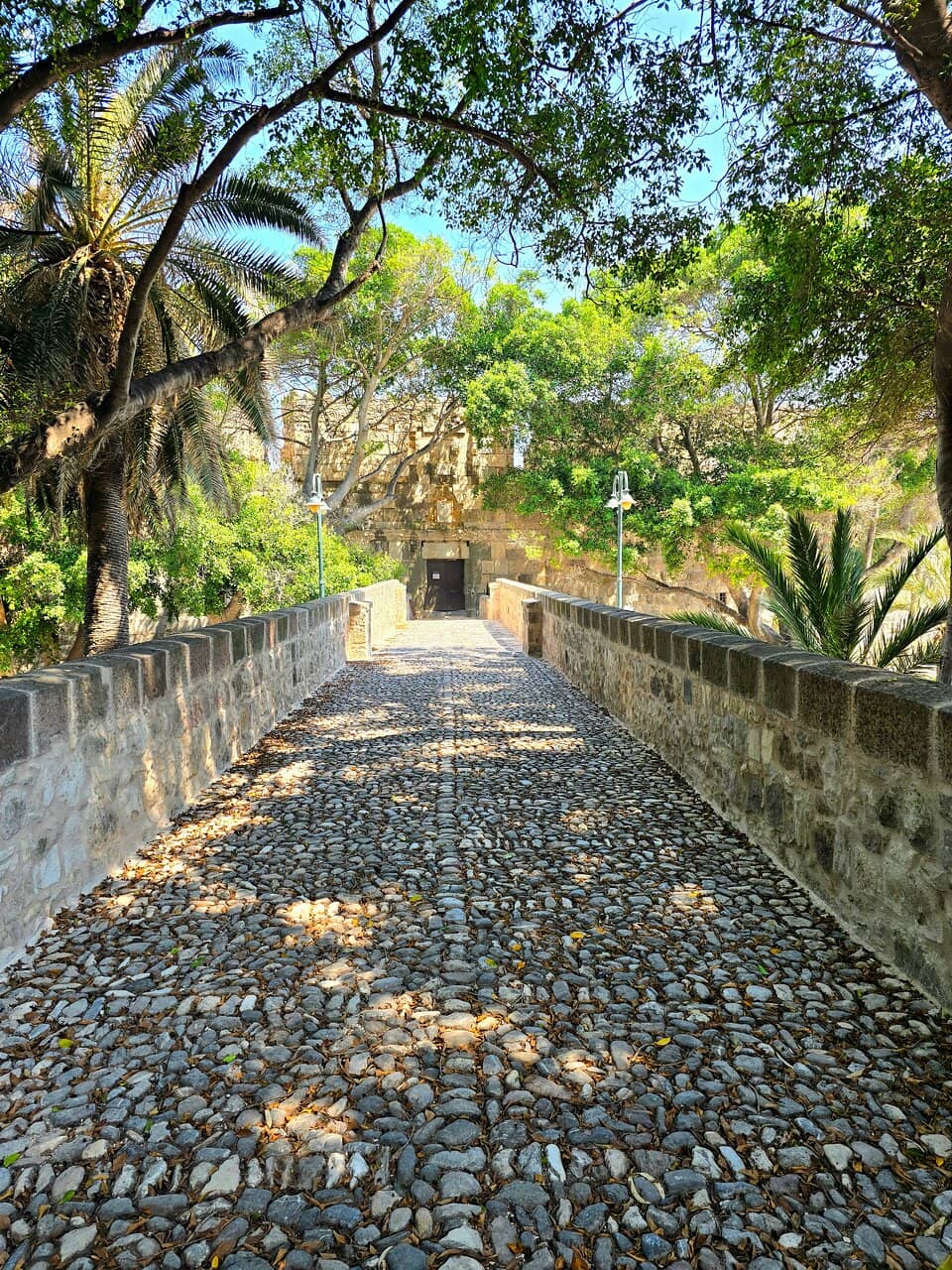Panoramic Harbor Views