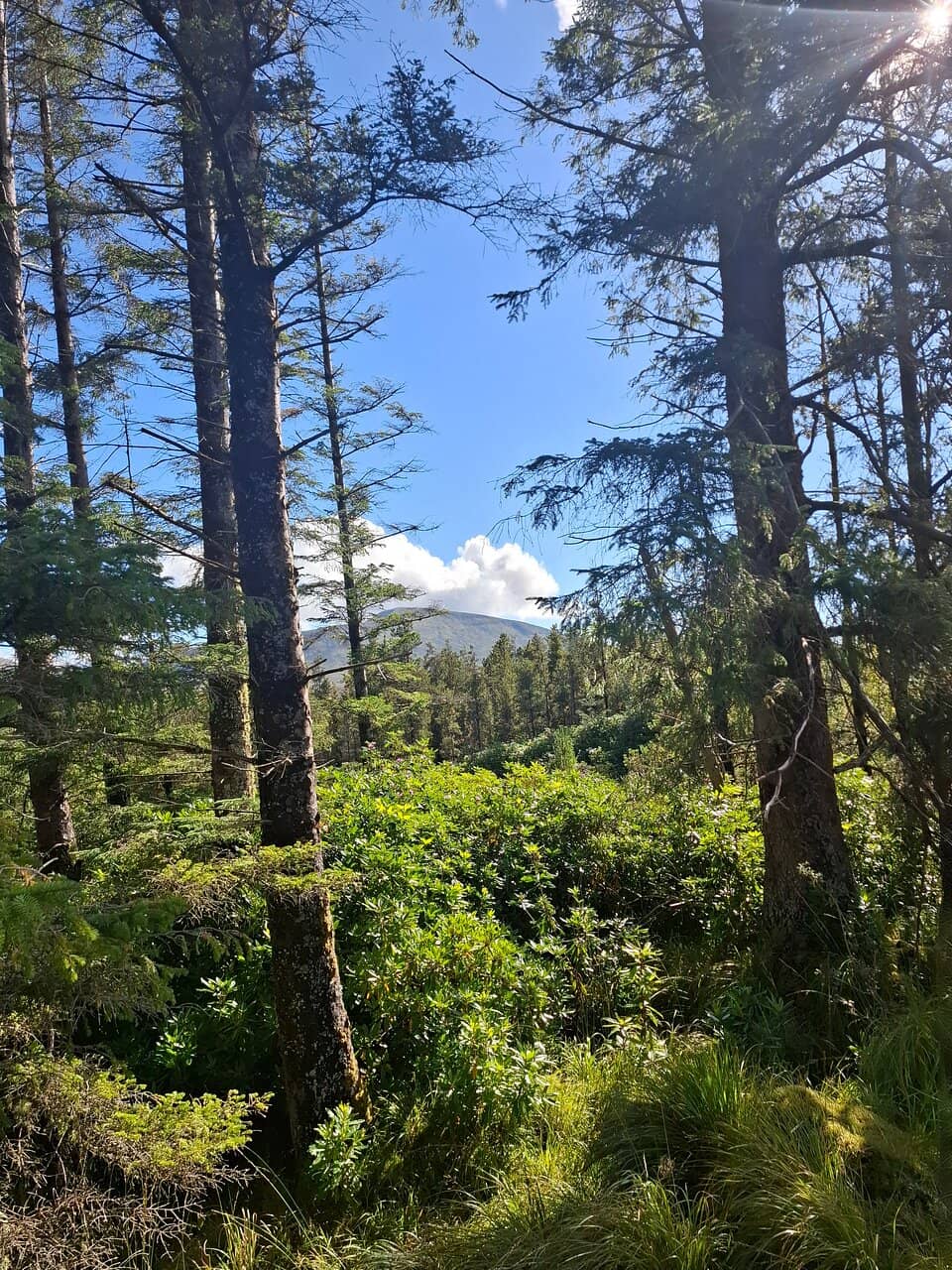 Vertical photo