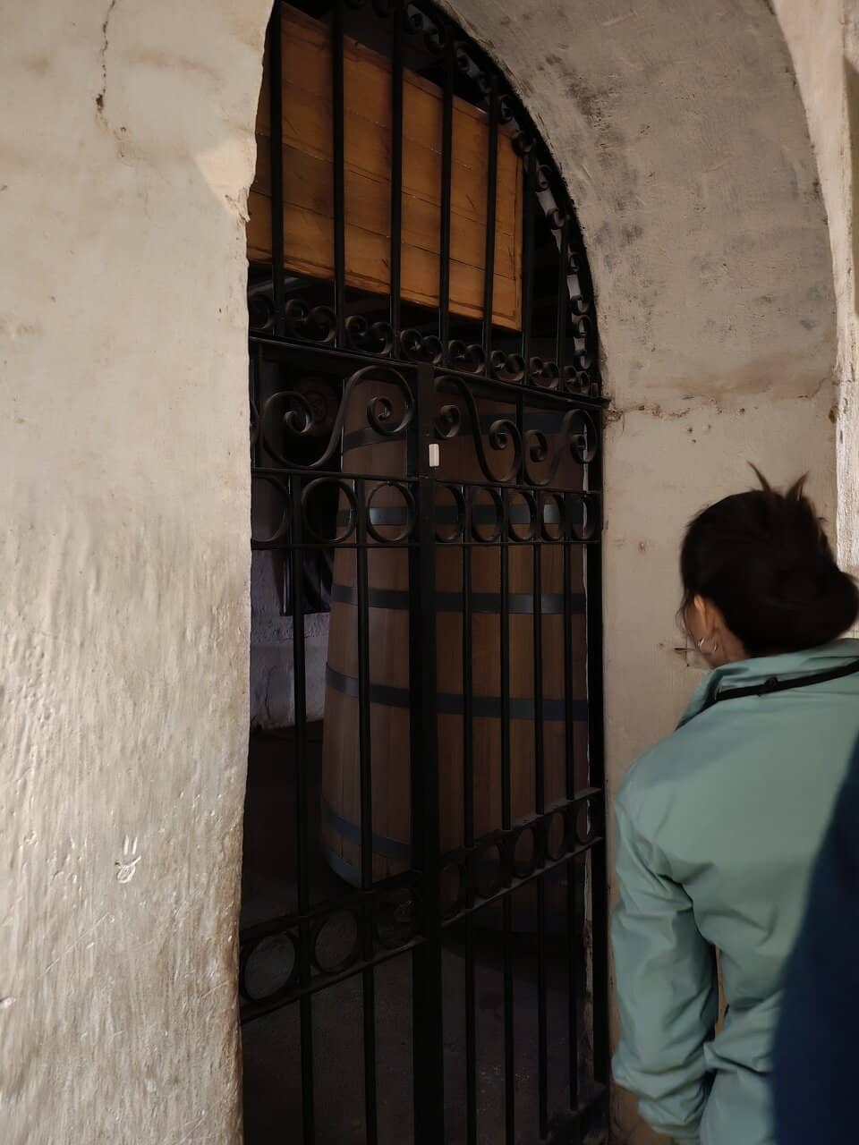 Artisanal Pisco Tasting