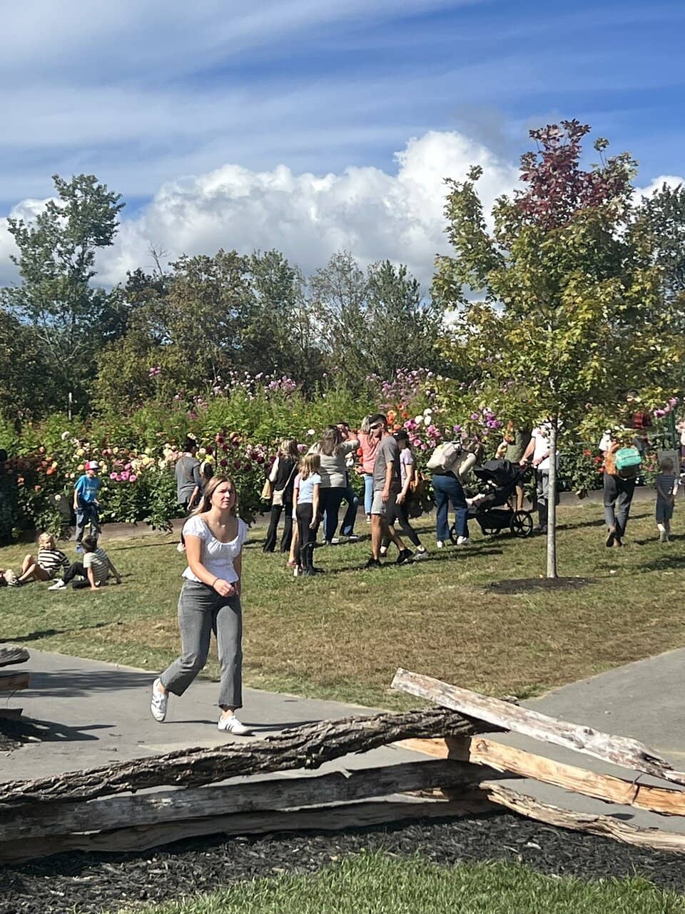 Farm Market Treasures
