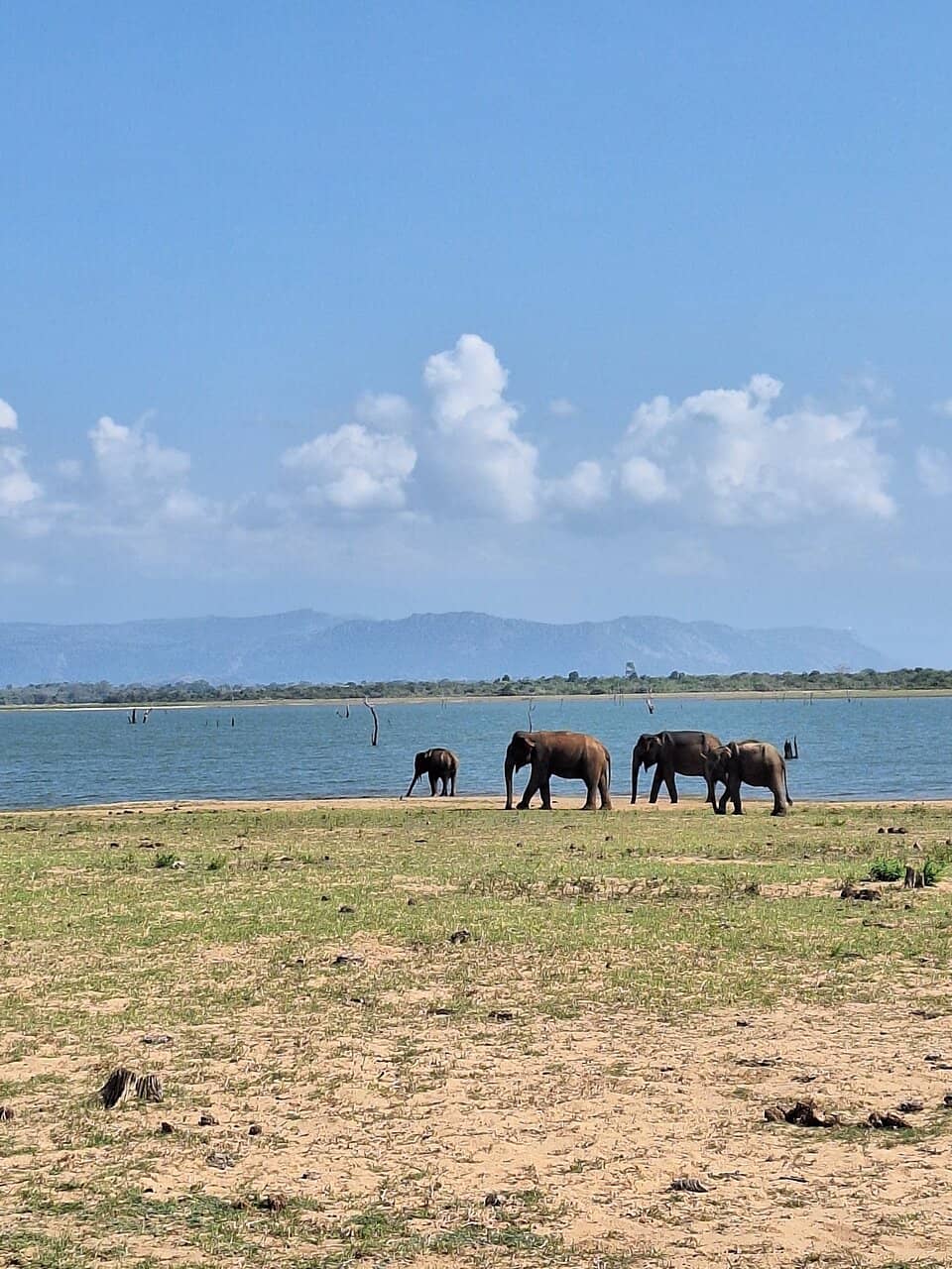 Udawalawe Dam