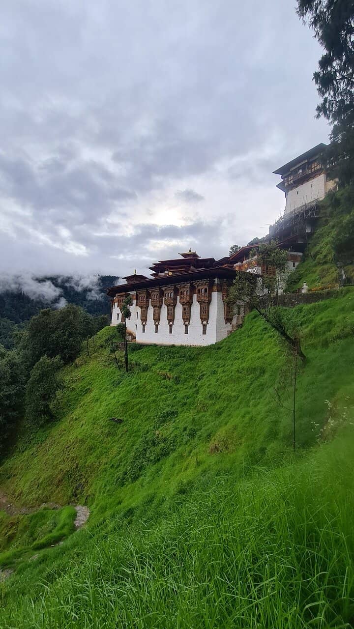 Vertical photo