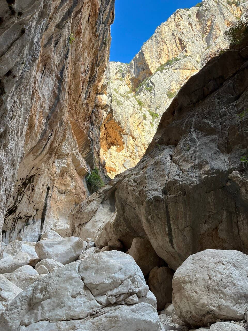 Vertical photo