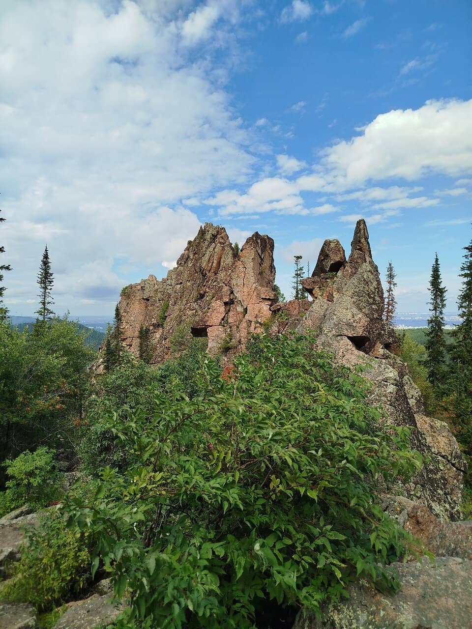 Vertical photo