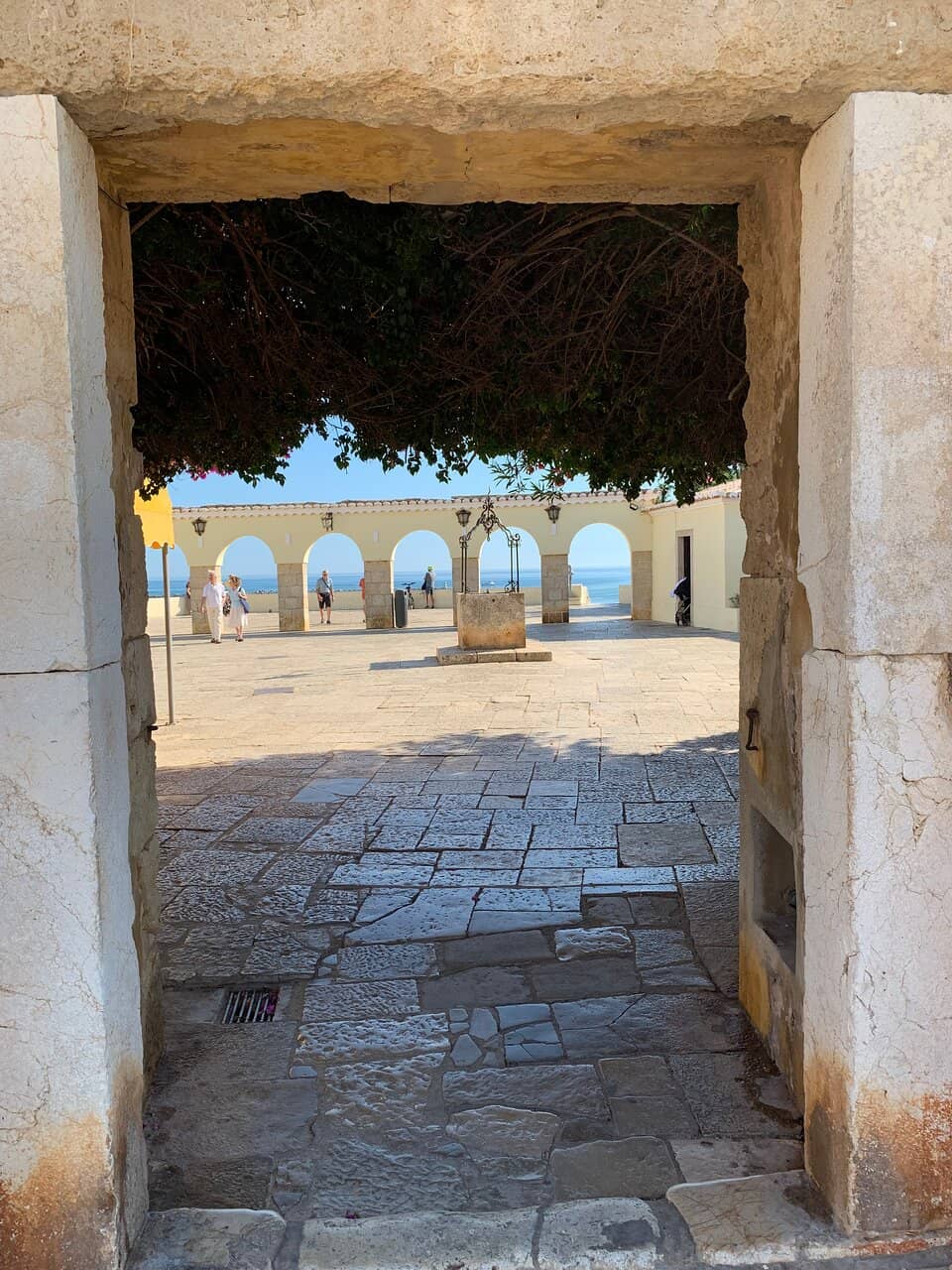 Vertical photo