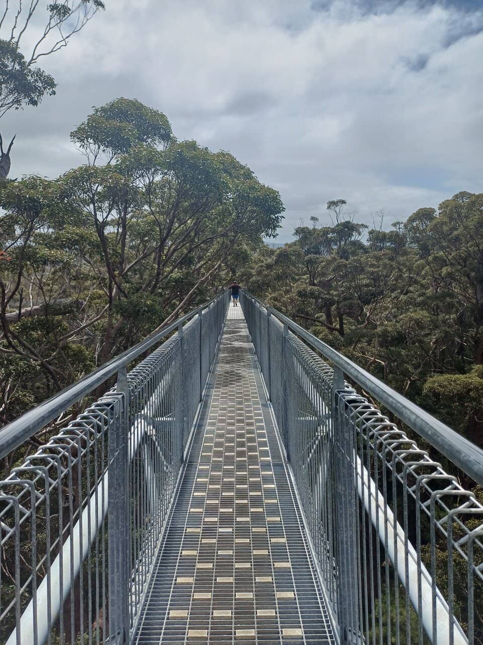 Vertical photo
