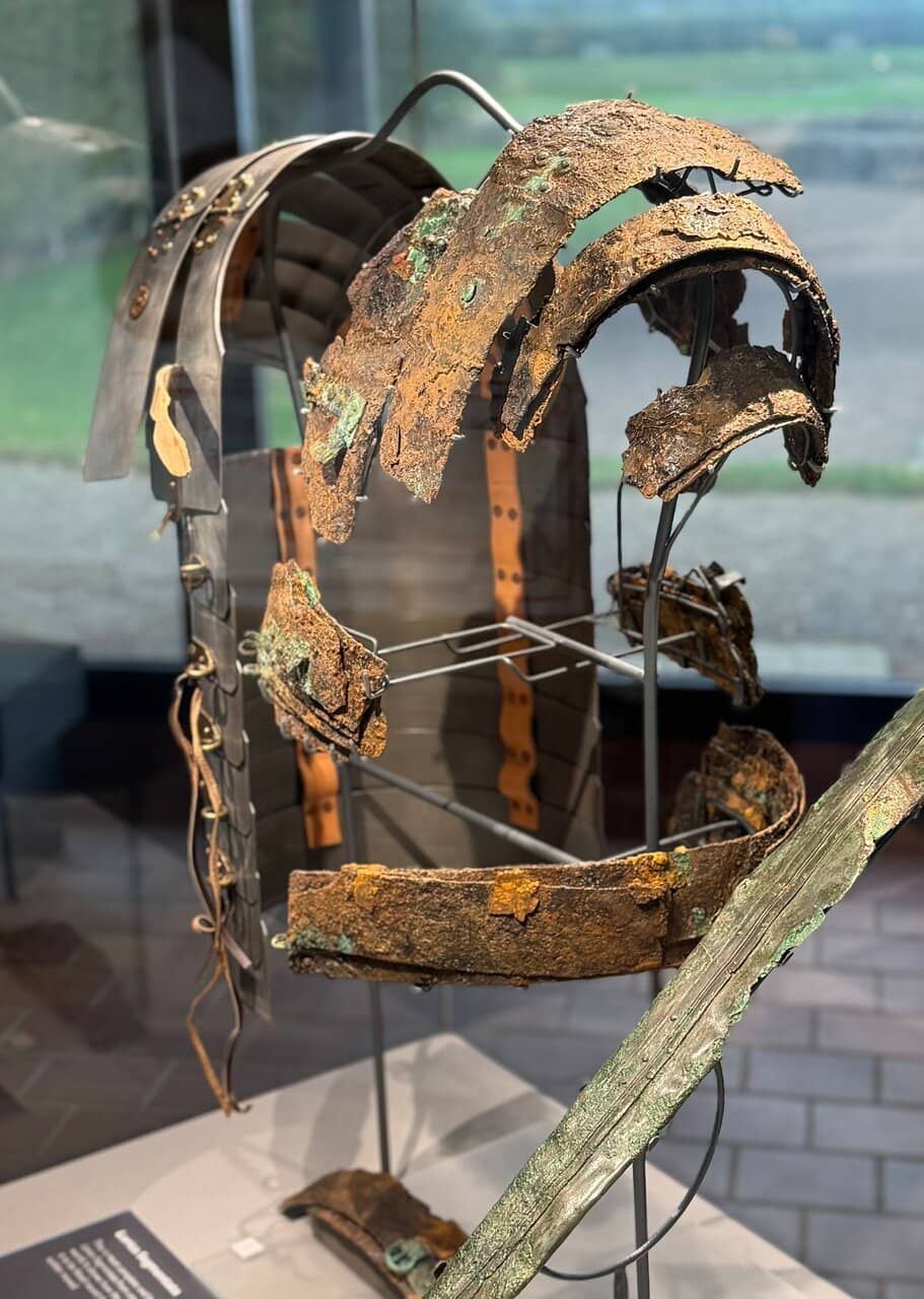 The Museum Exhibition