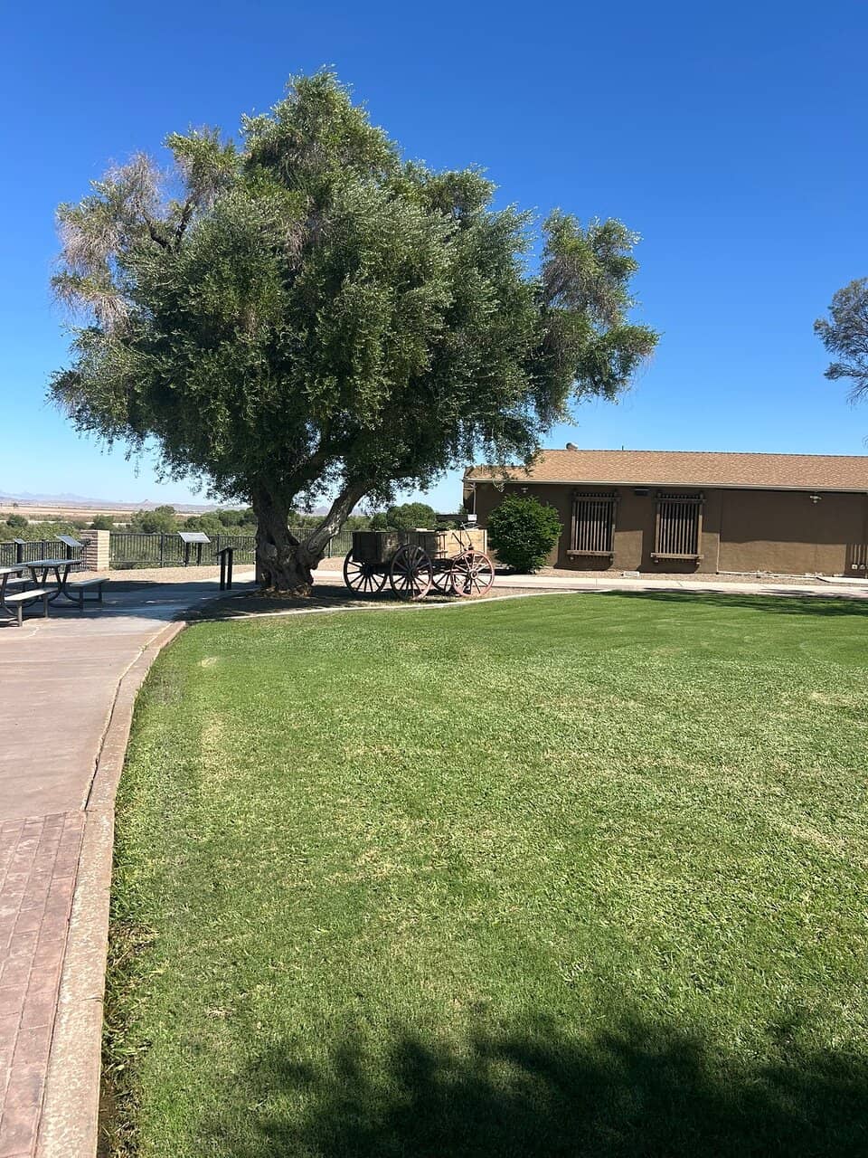Colorado River Views