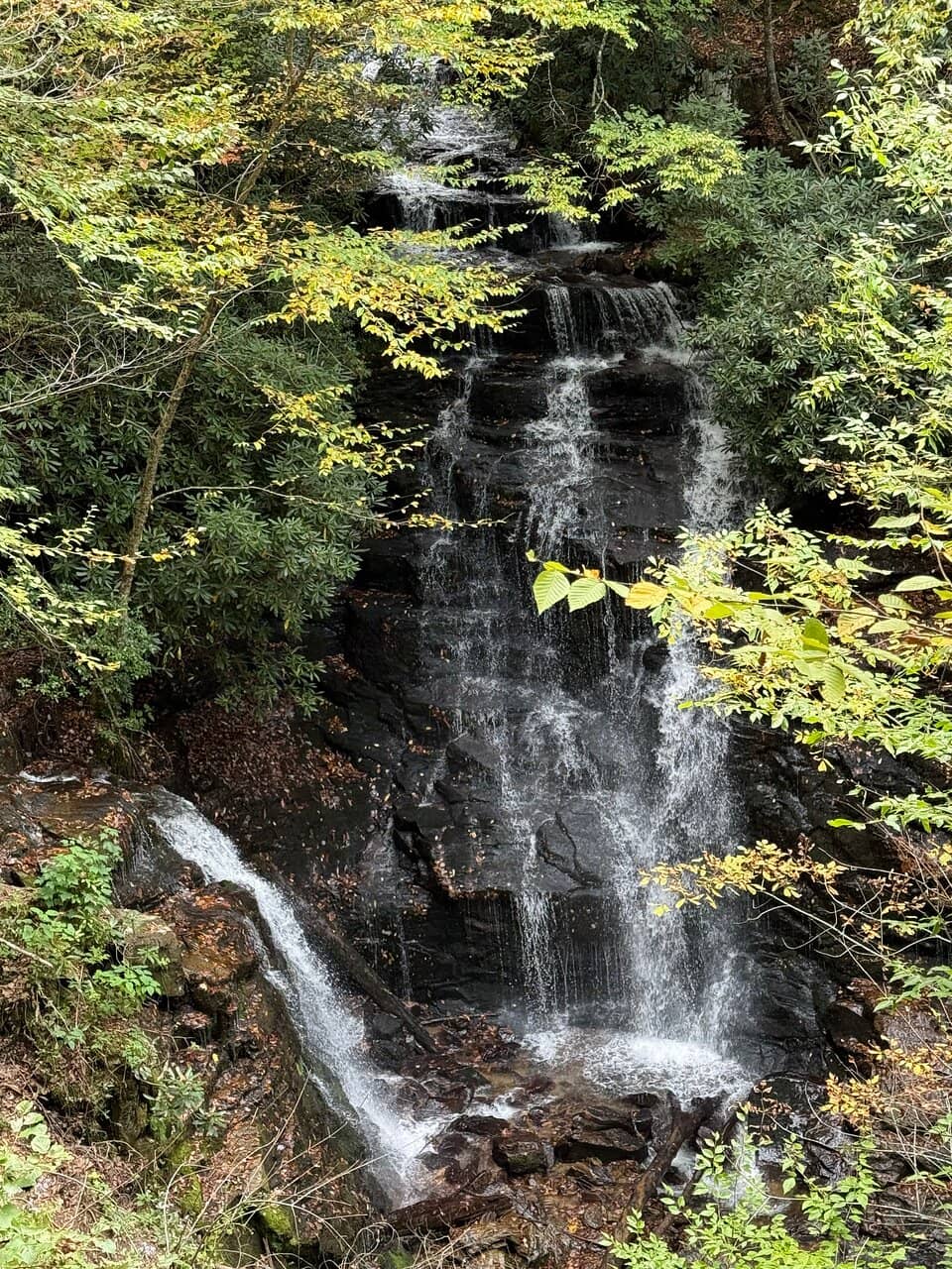Vertical photo