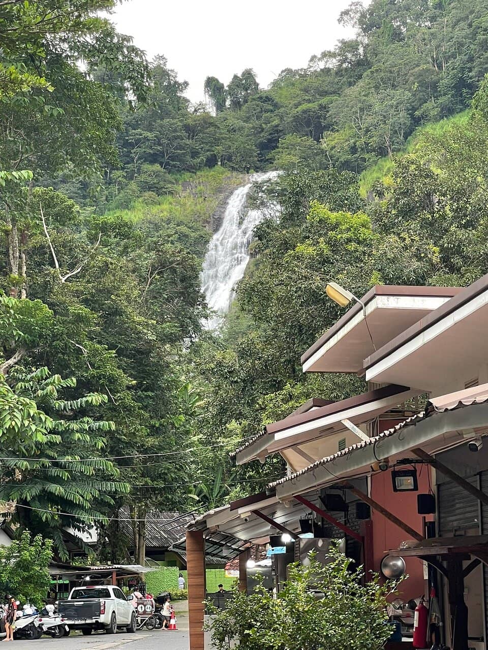 Lush Green Surroundings