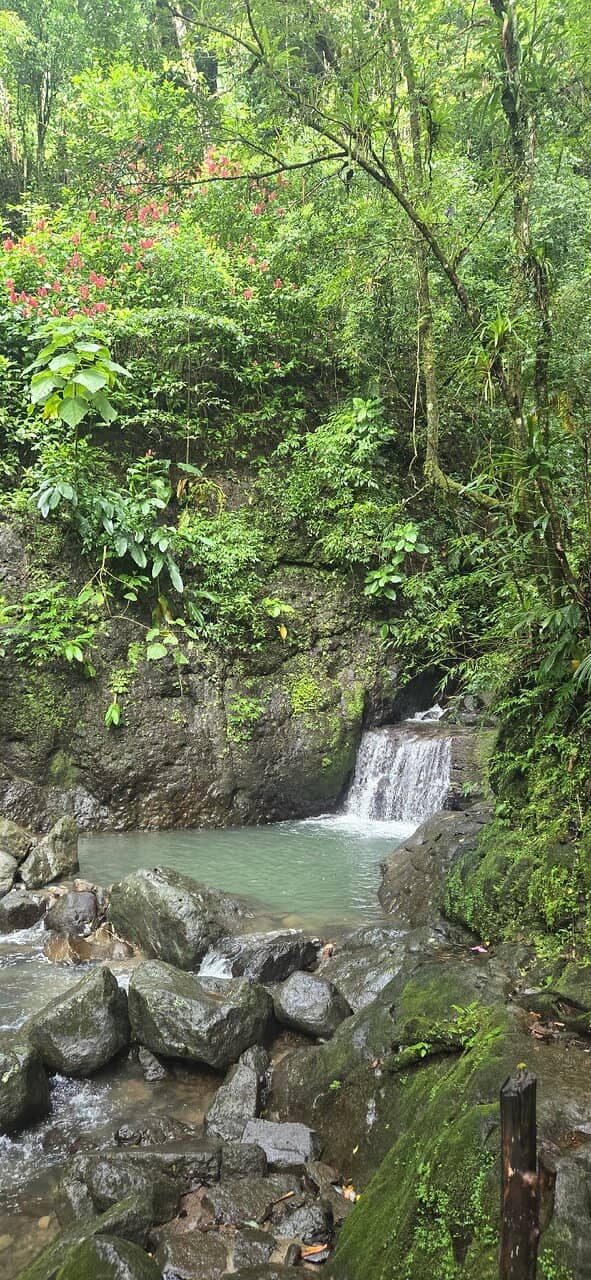 Hanging Bridges Trail