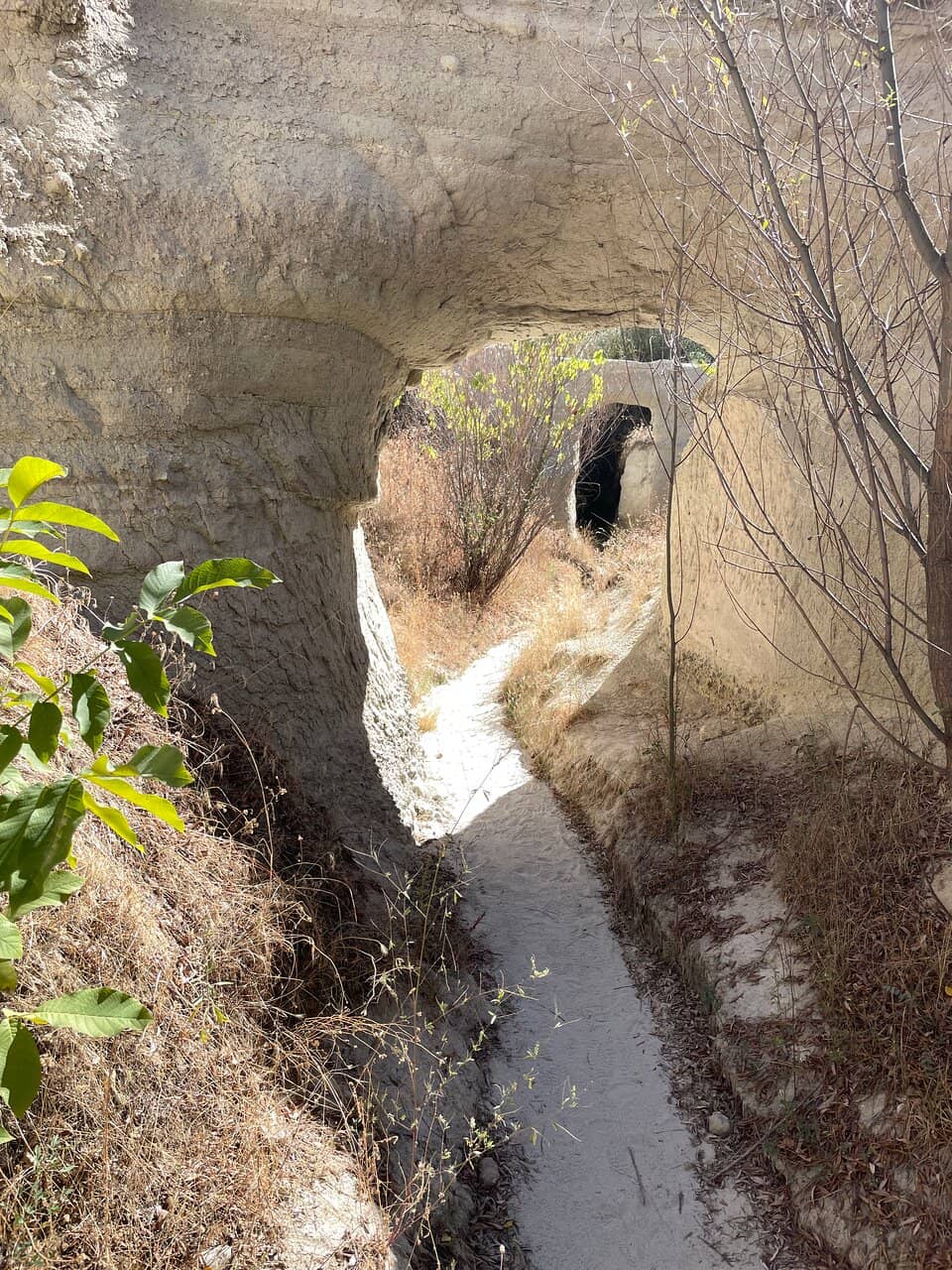 Sunrise & Sunset Views