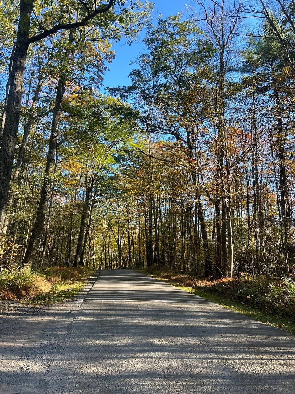 Turkey Path Trail