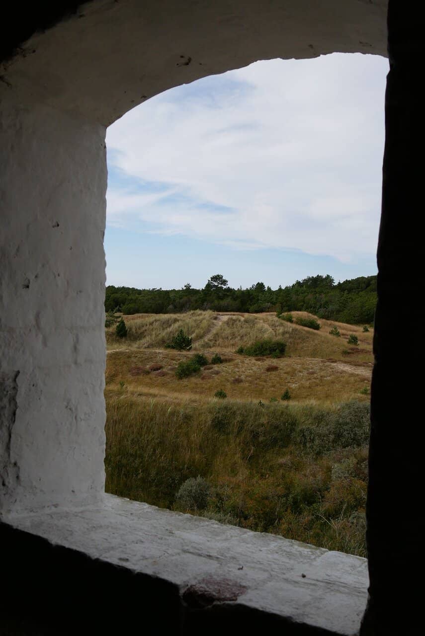 Vertical photo