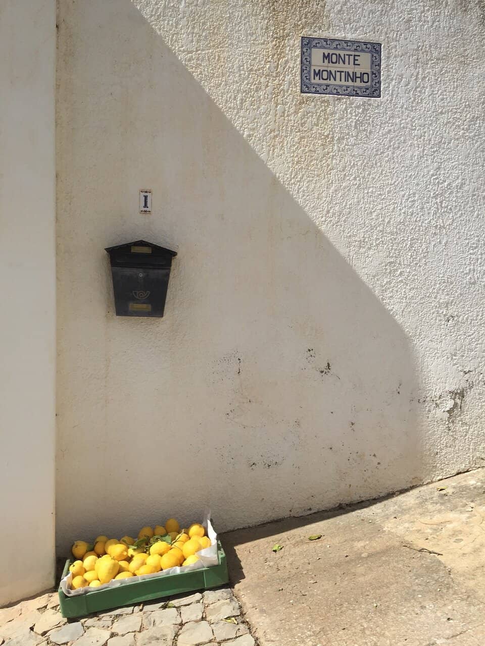 Vertical photo
