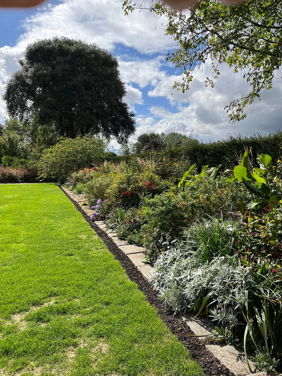 Vibrant Rose Borders