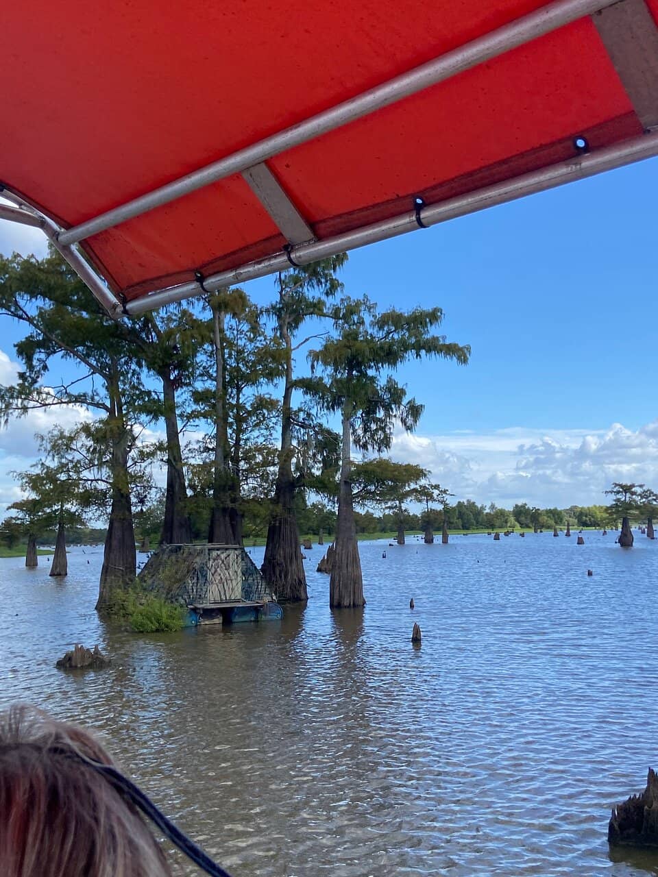 Airboat Thrills