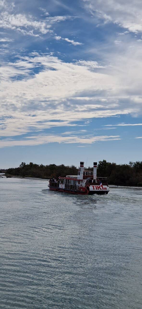 Camargue Wildlife Boat Tour