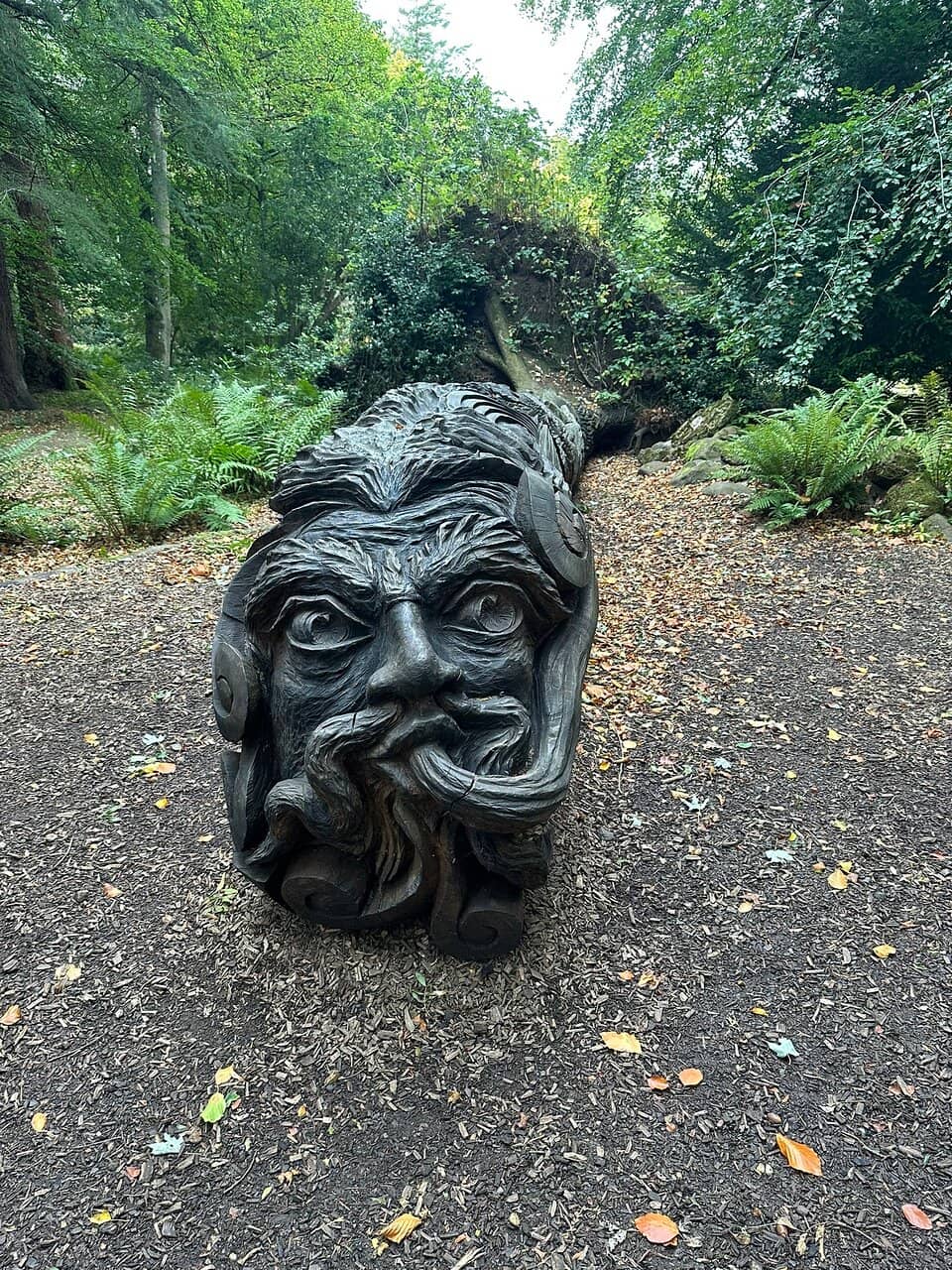Woodland Walks