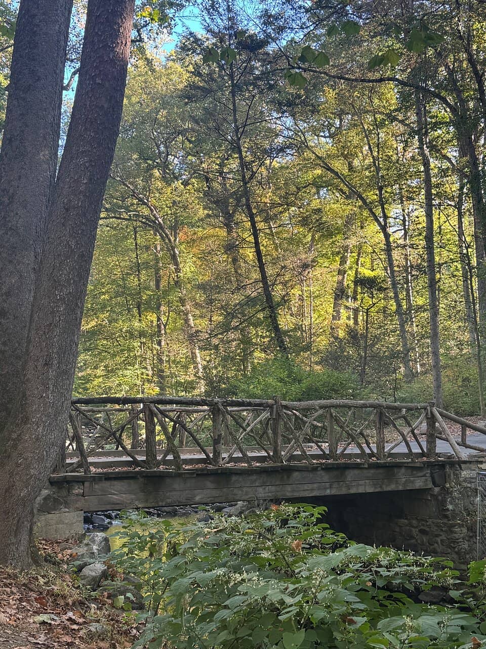Vertical photo