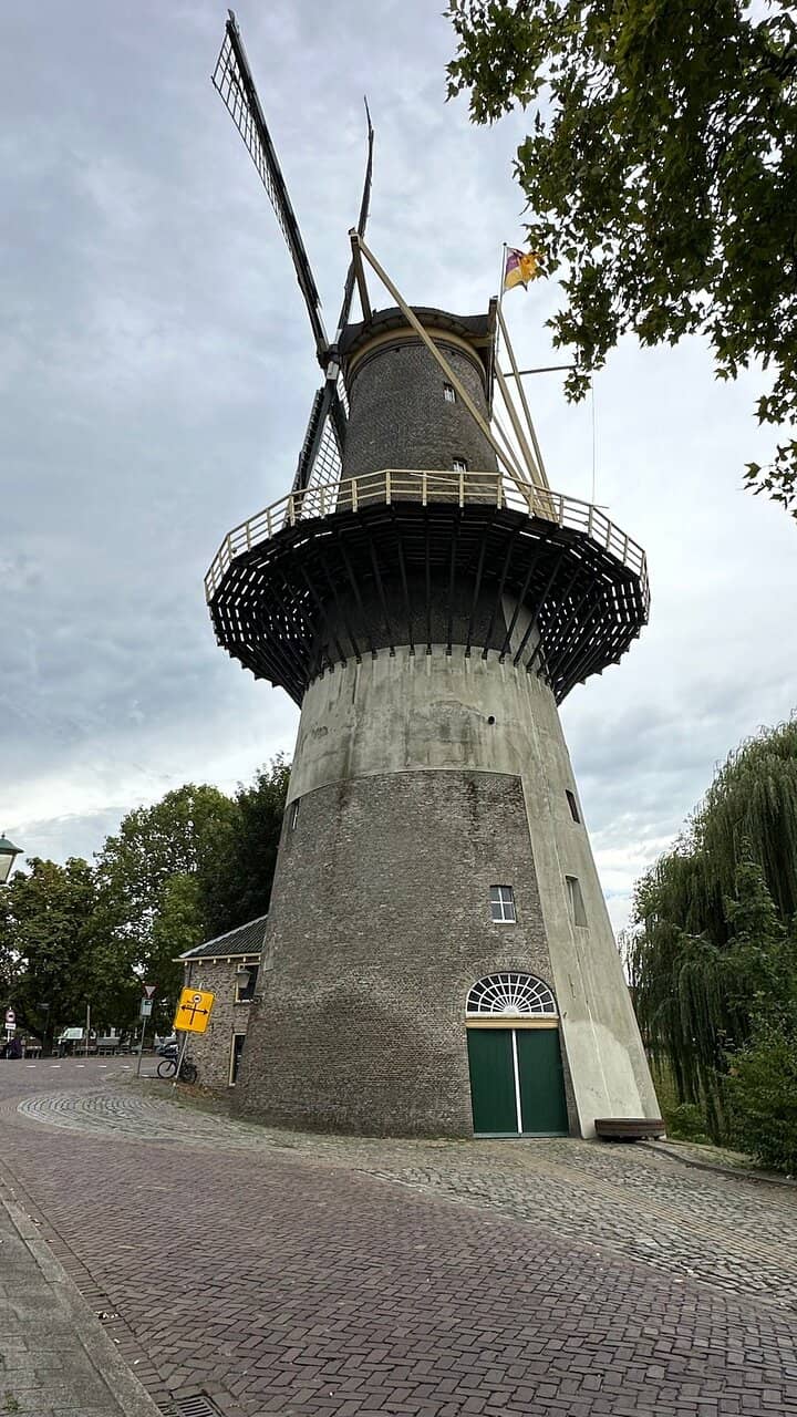 Jenever Tasting Bar