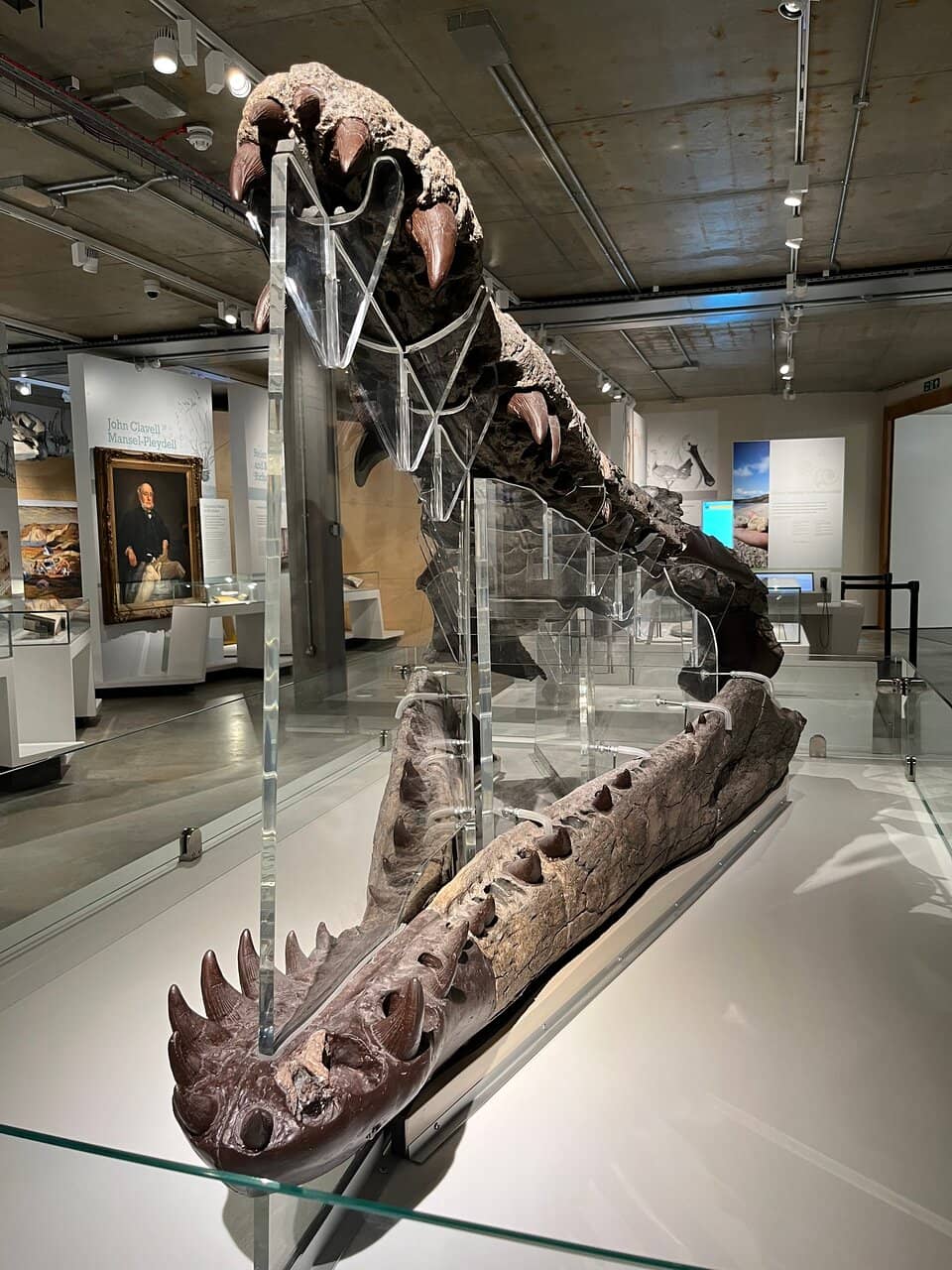 Thomas Hardy's Effects