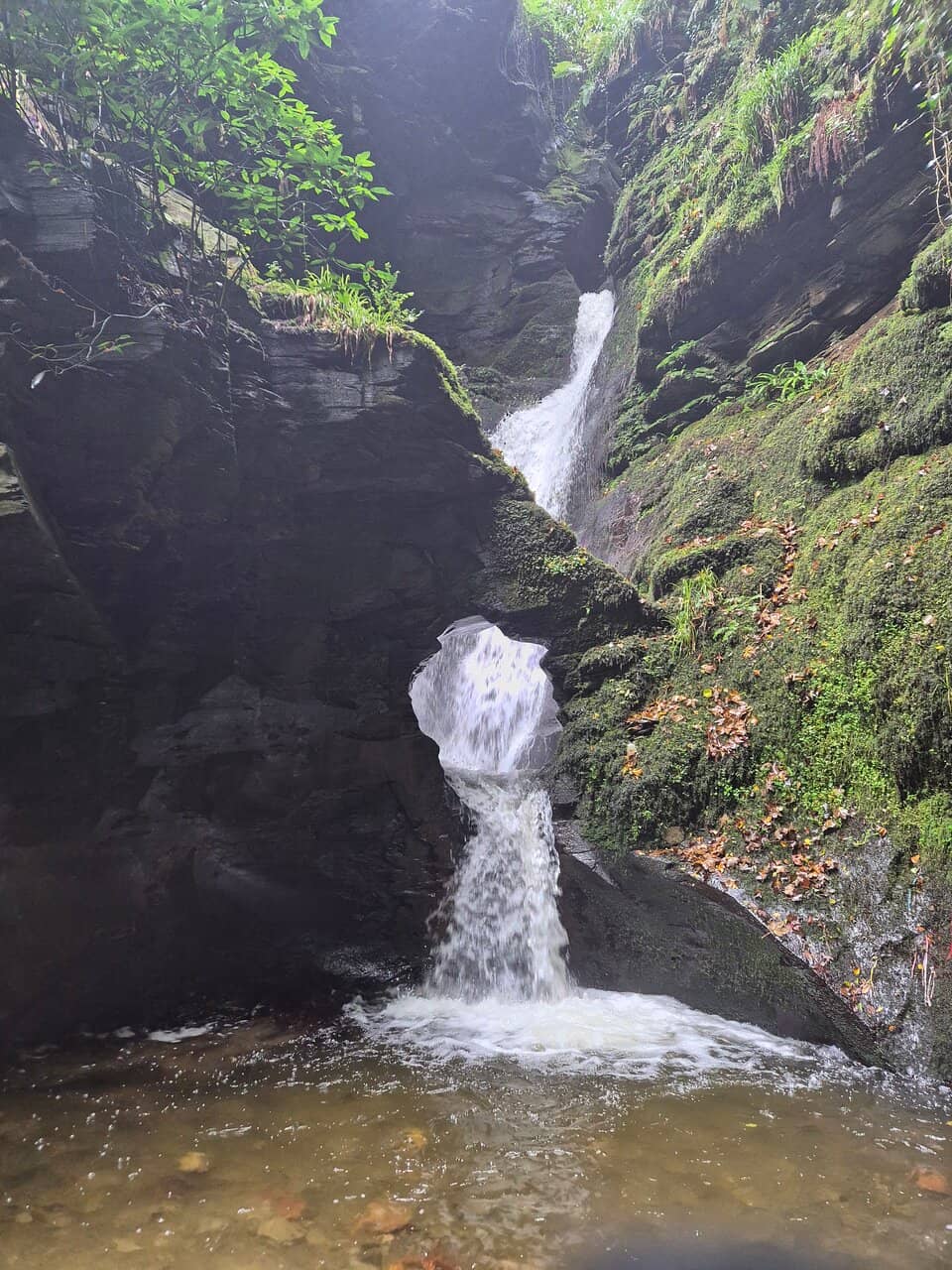 Vertical photo