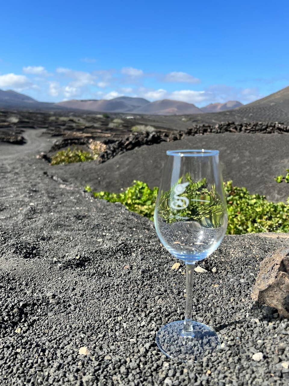 Wine Tasting Experience