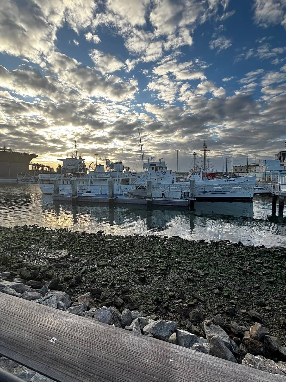 Scenic San Francisco Bay Cruise