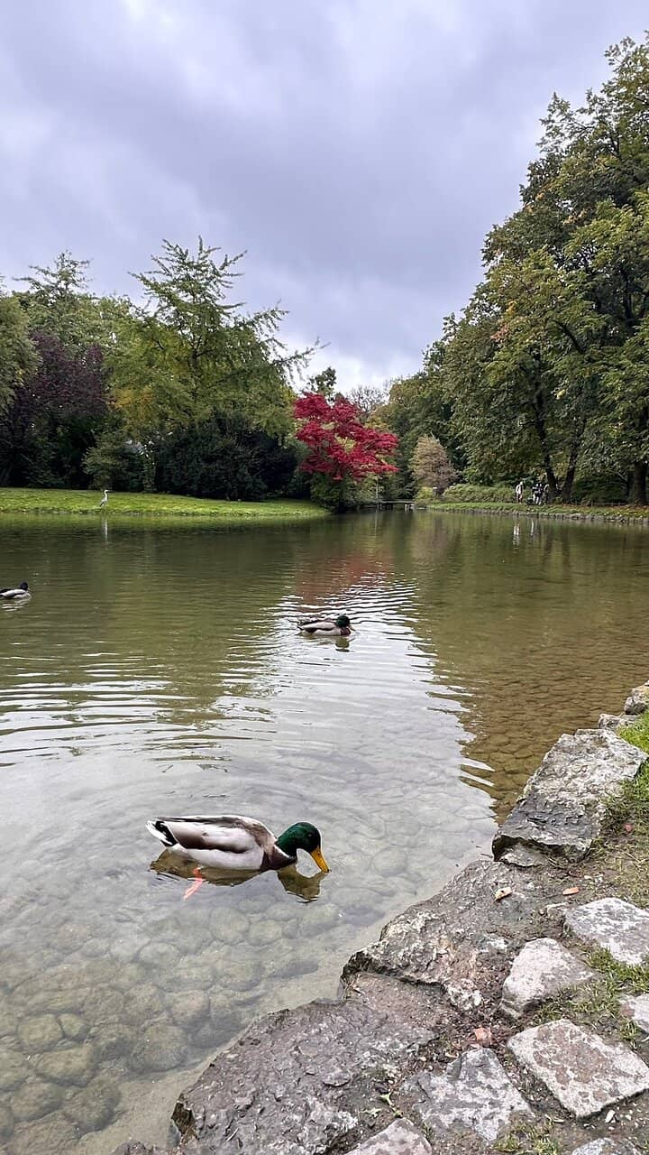 Fontaine des Quatre-Saisons