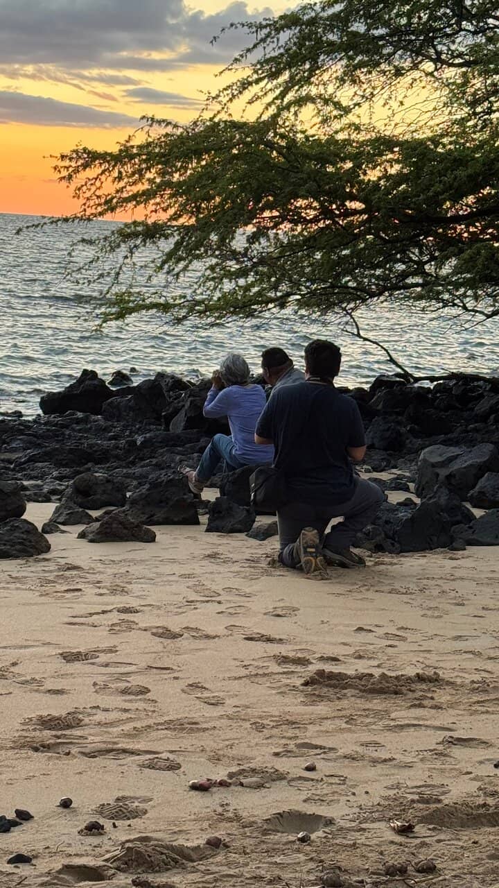 Coastal Views & Wildlife