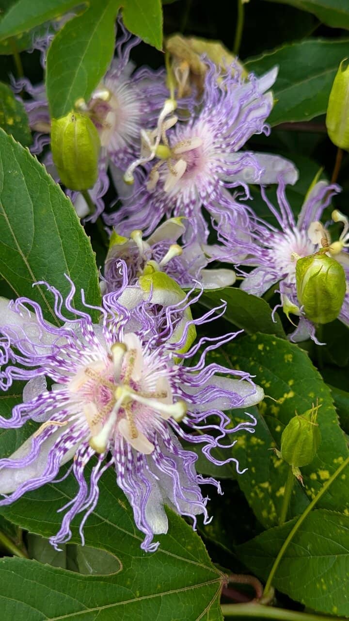 Historical Significance