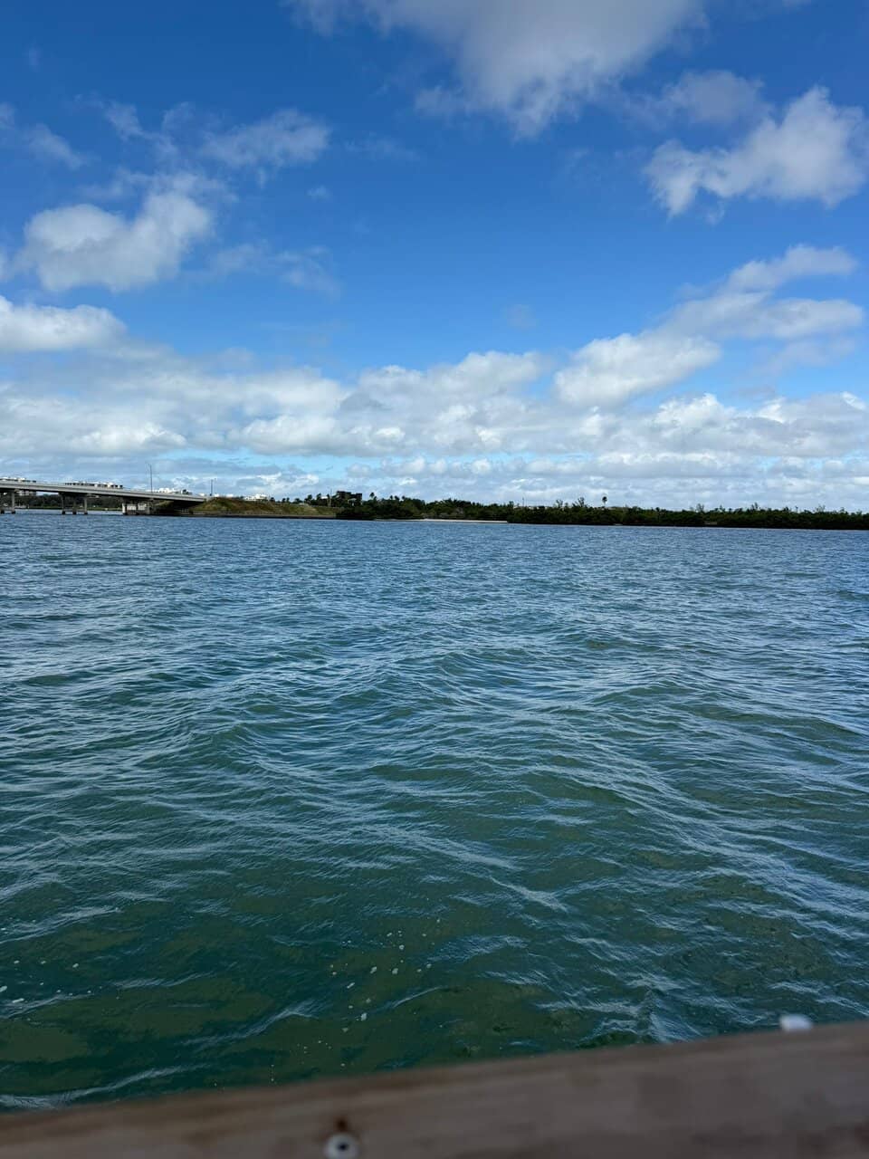 Classic Fish and Chips