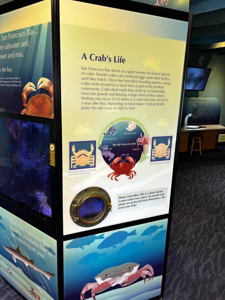 Robert Crown Memorial State Beach