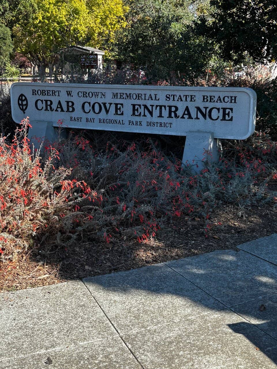 Interactive Exhibits