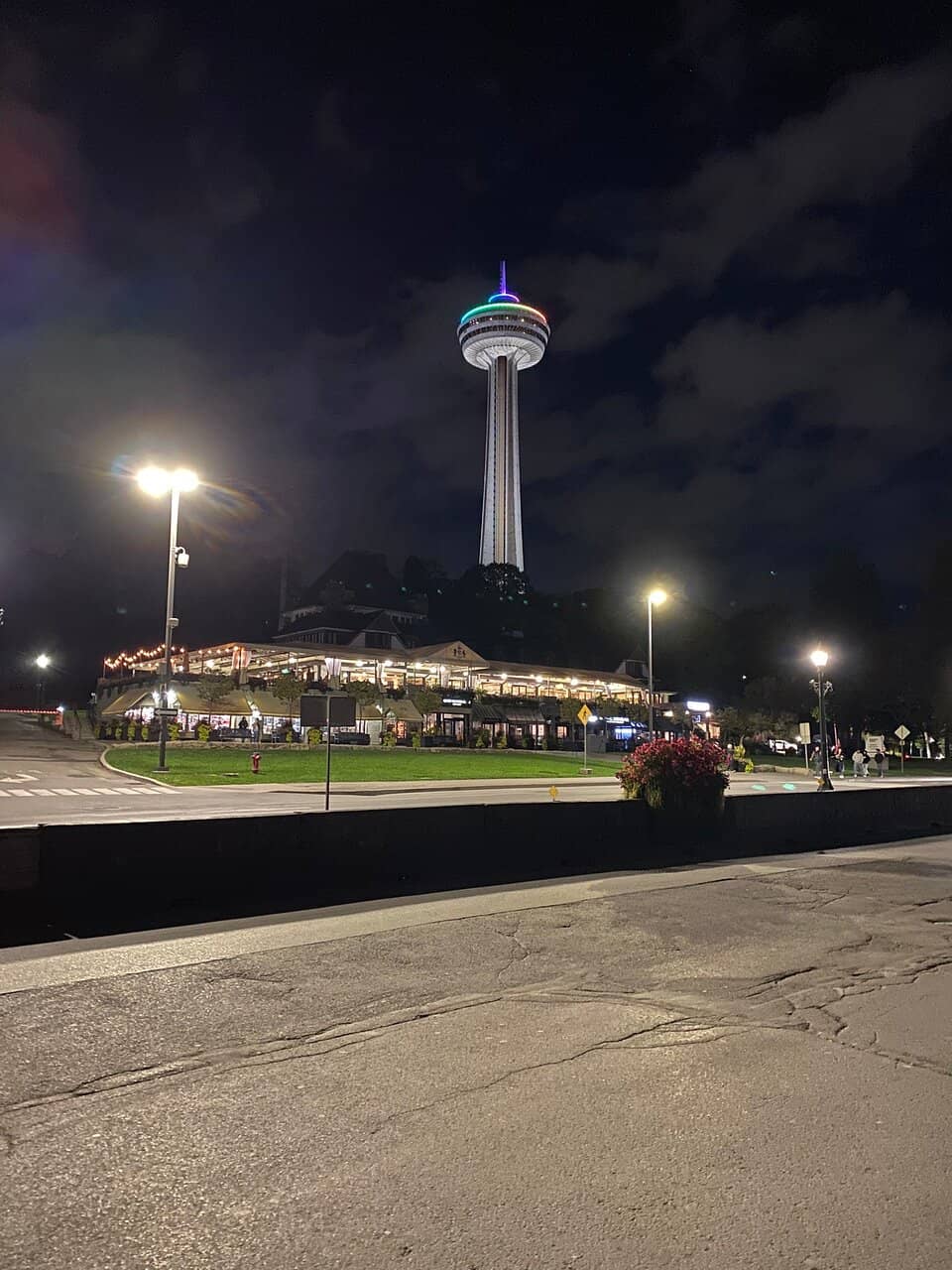 Elegant Dining Experience