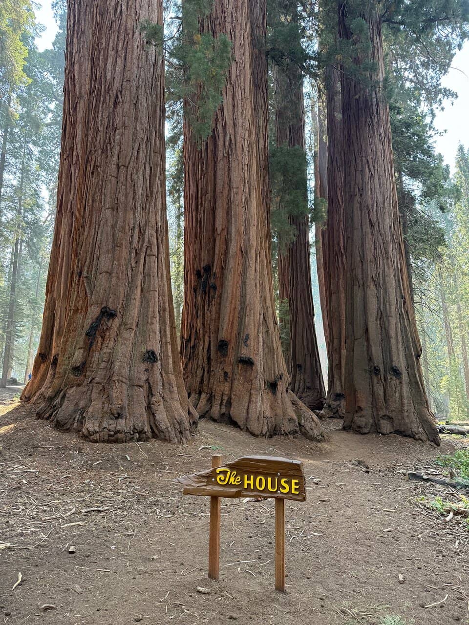 The Senate & The House