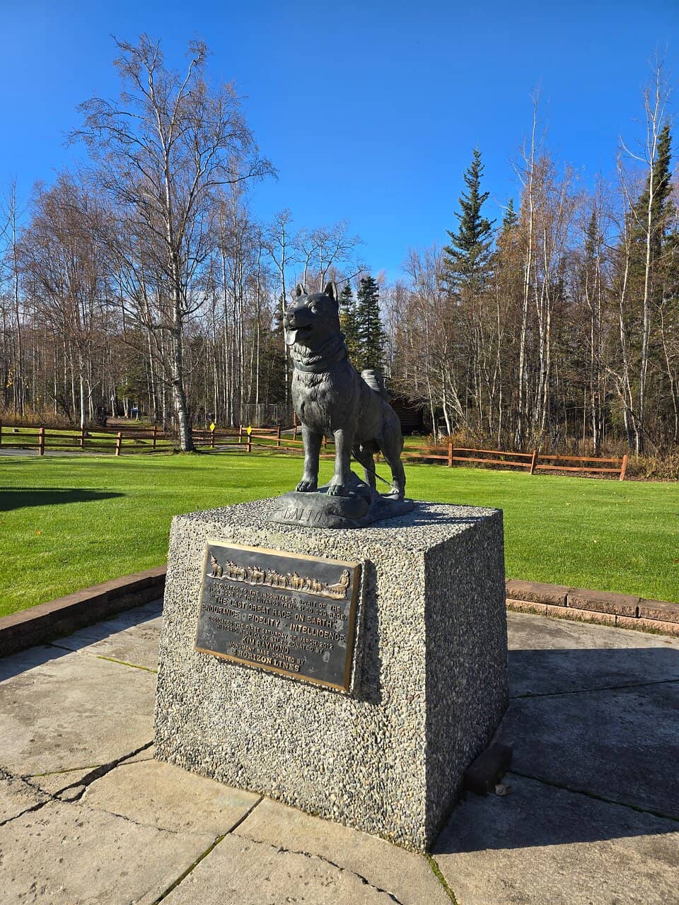 Meet the Mushers
