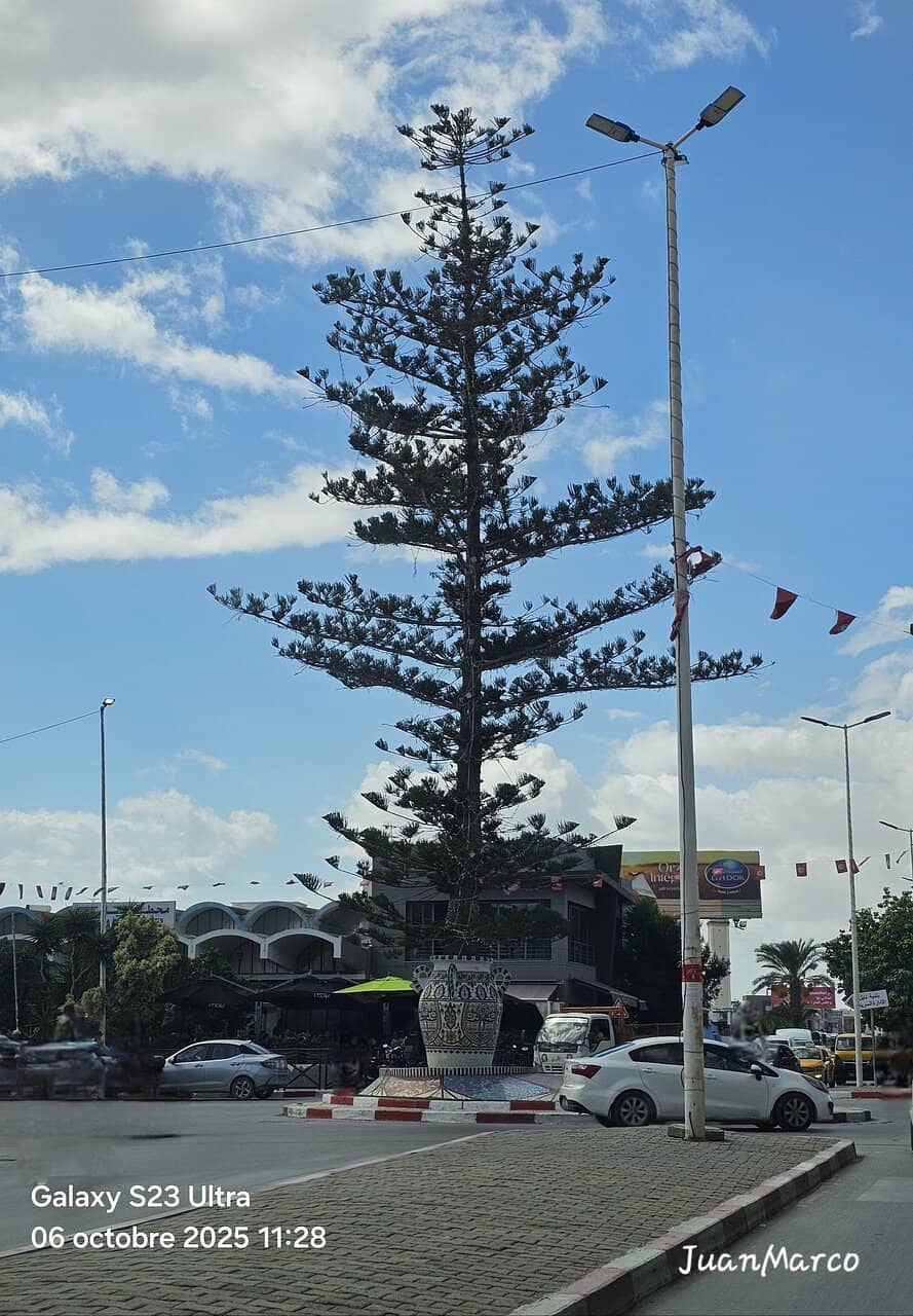 Traditional Clothing & Textiles