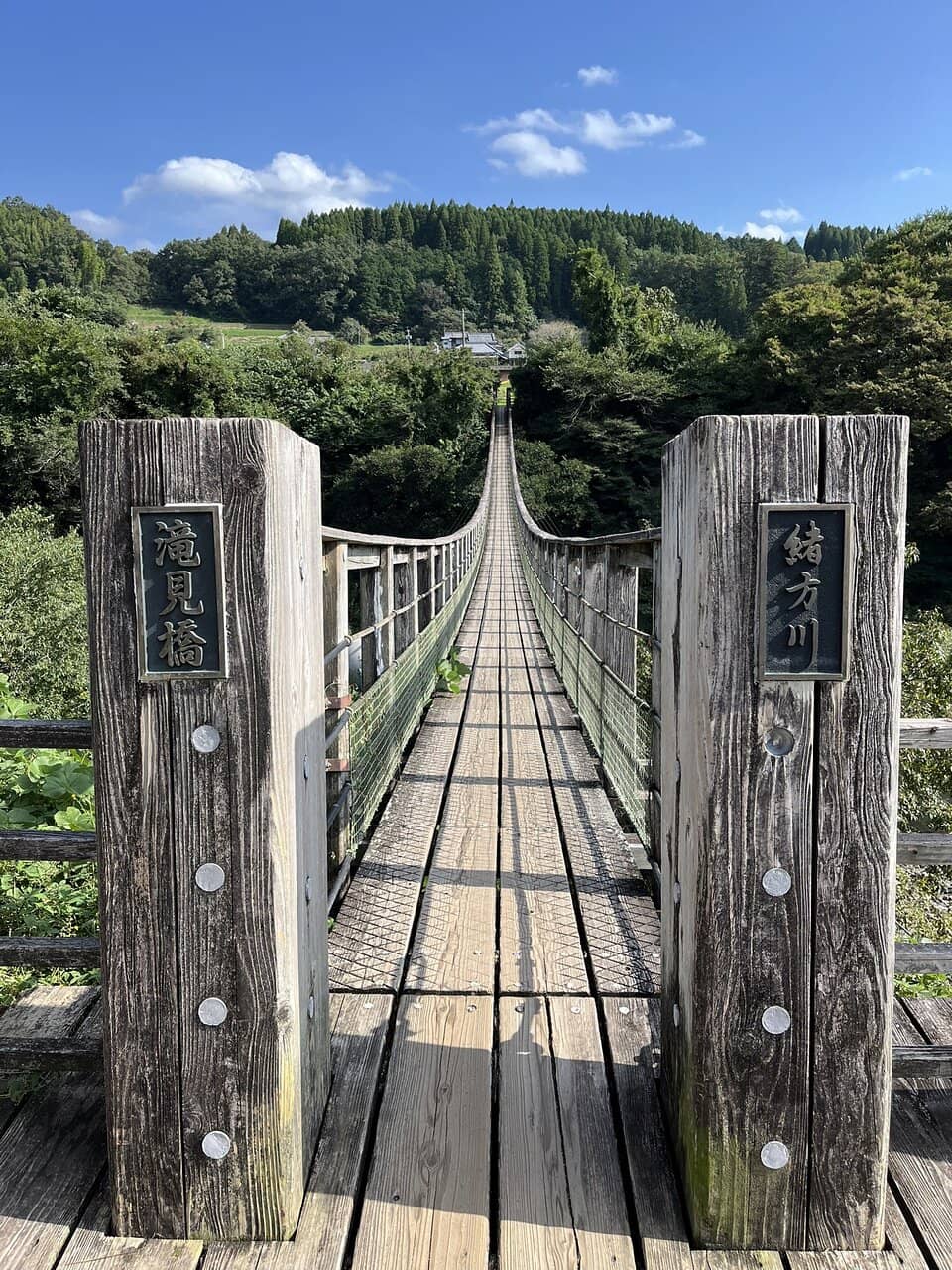 Suspension Bridge Views