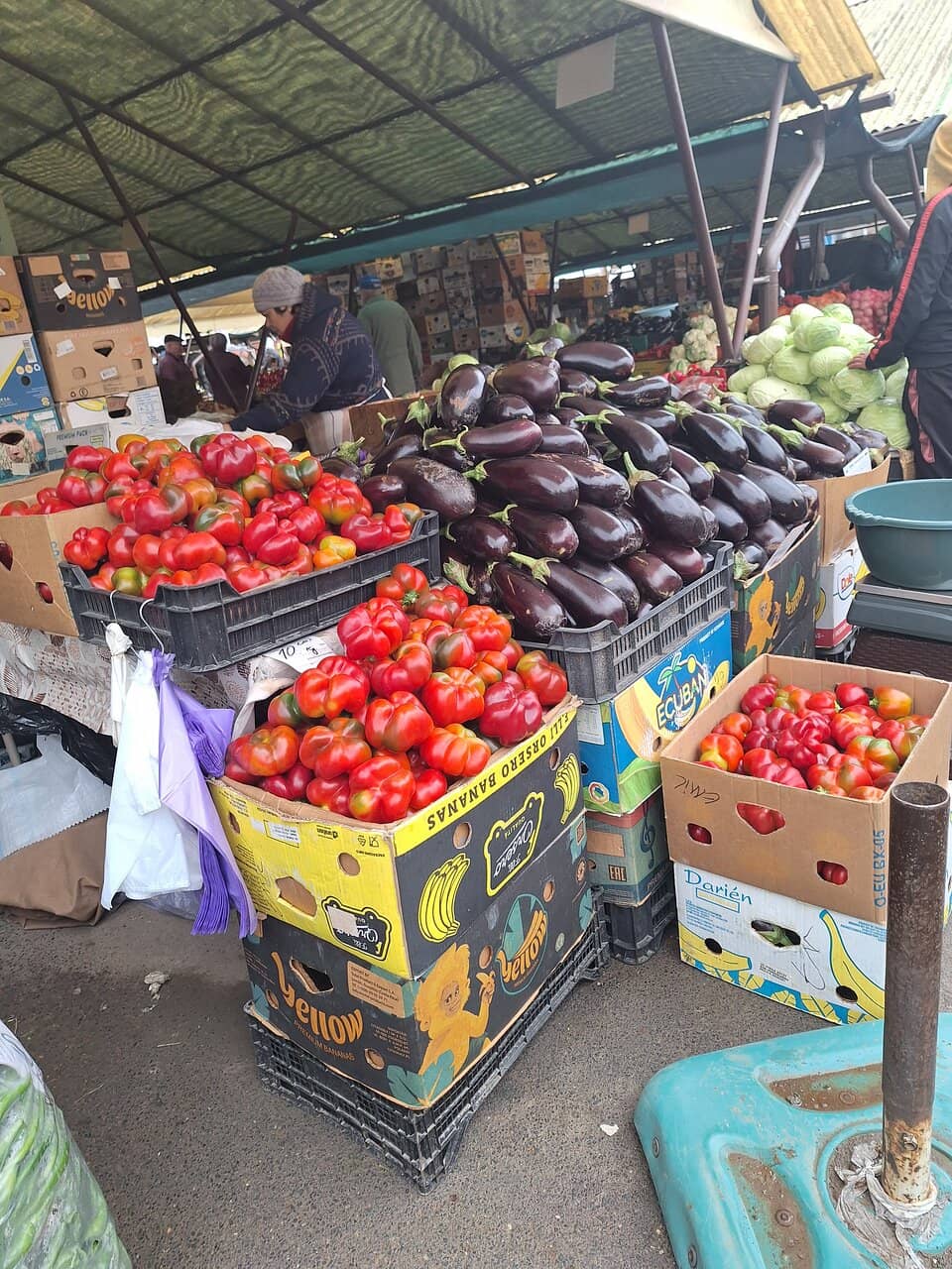 Seasonal Produce Galore