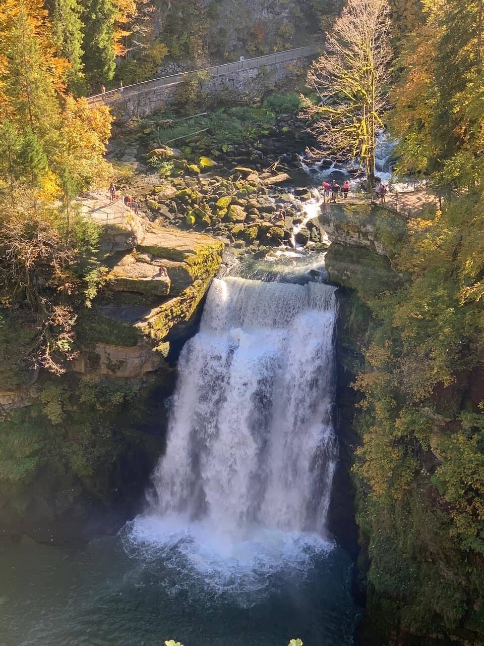 Scenic River Cruise