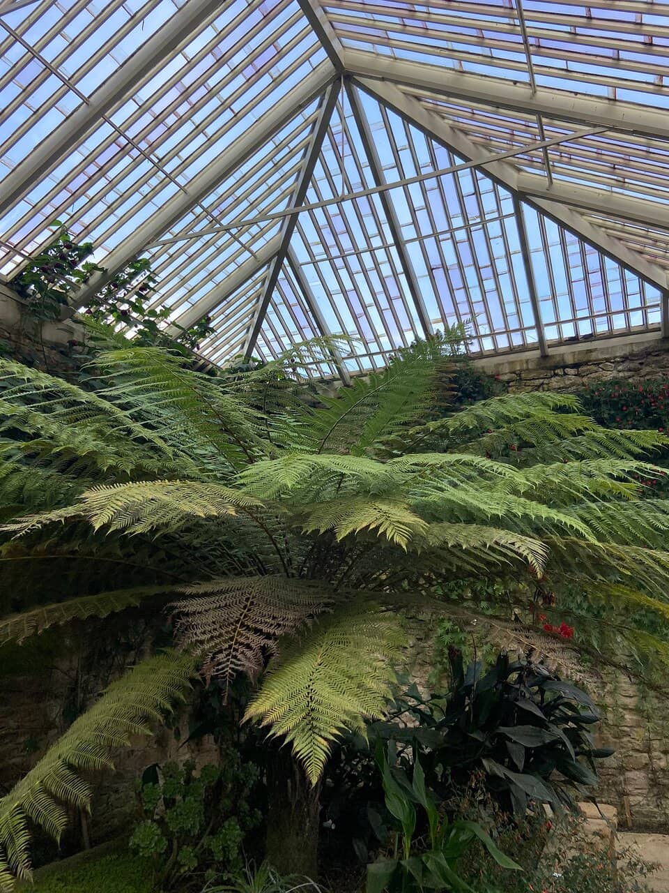 The Long Gallery