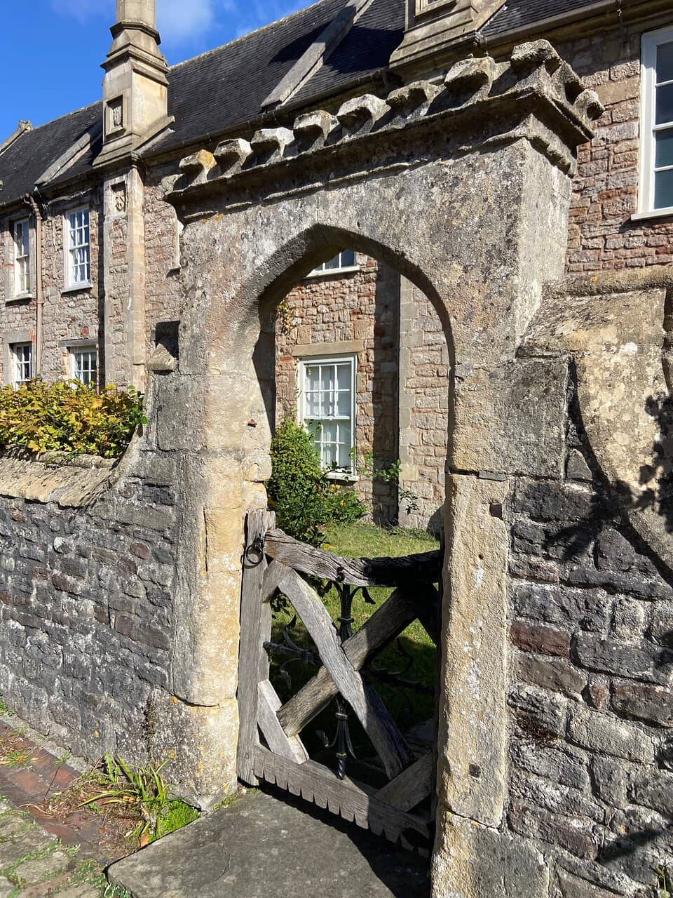 Vertical photo