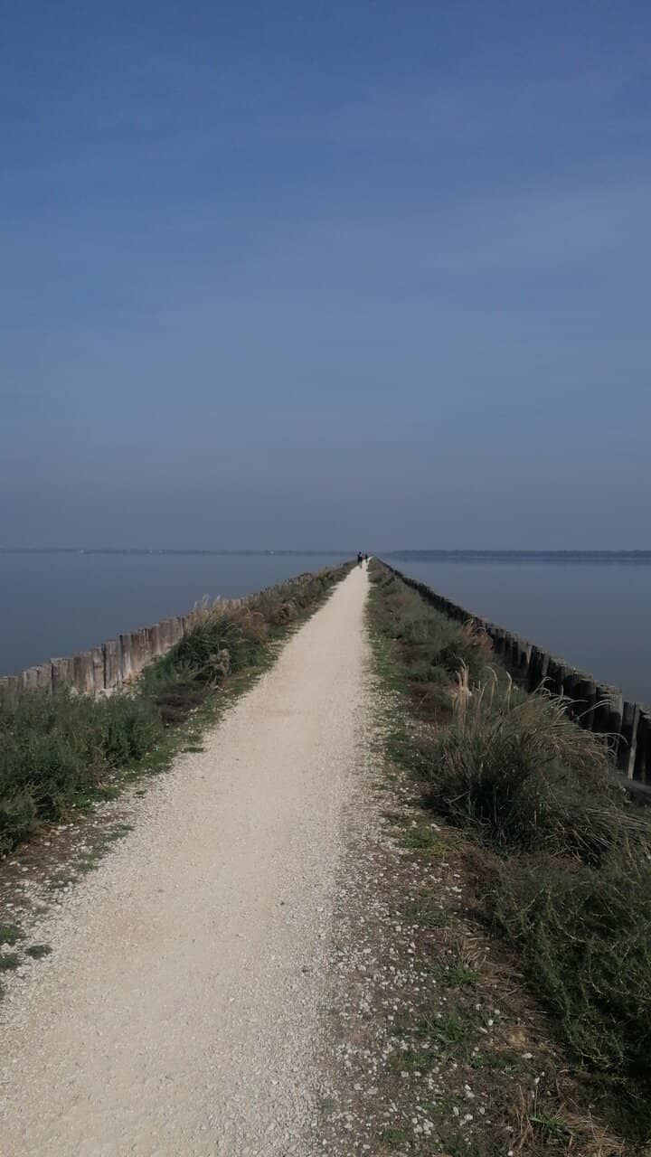 Birdwatching Paradise