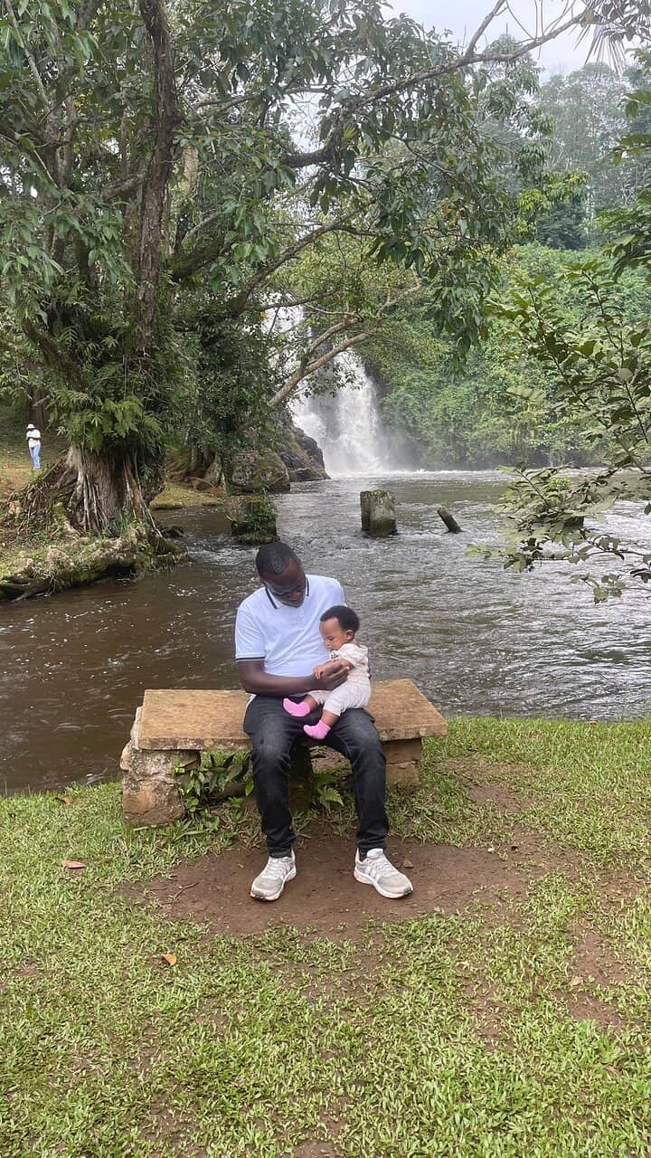 Lush Bamboo Plantations